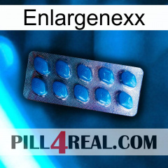 Enlargenexx viagra1